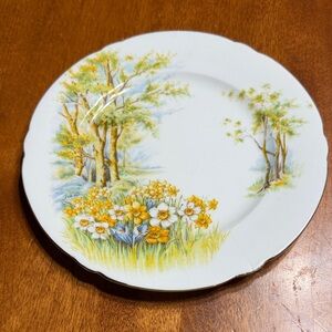 Vintage Shelley Daffodil Time 11370 Porcelain Plate